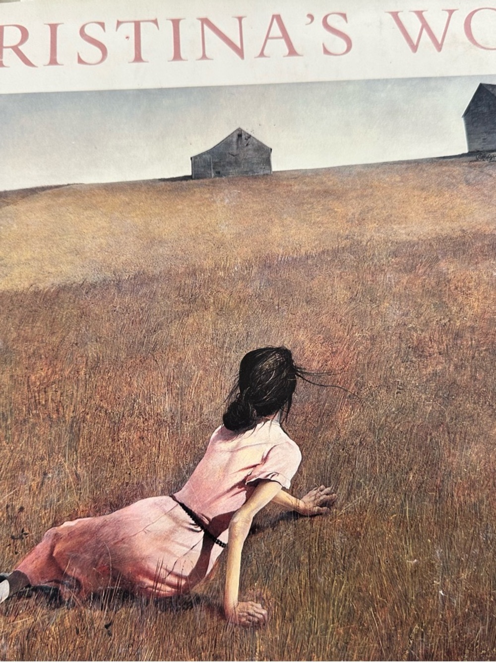 Christina's World Art Print - Pink Dress Illustration Art Collectors Book